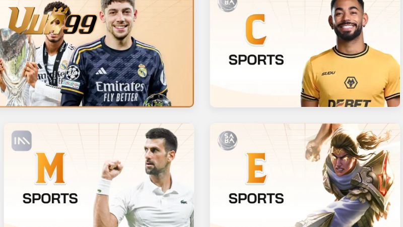 Quá trình hình thành và phát triển thương hiệu Vua99